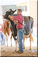 LCFAIR14-2801.jpg