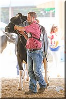 LCFAIR14-2803.jpg