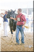 LCFAIR14-2804.jpg