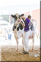 LCFAIR14-2808.jpg