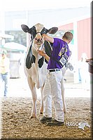 LCFAIR14-2809.jpg