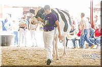 LCFAIR14-2810.jpg