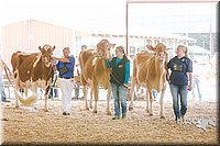 LCFAIR14-2815.jpg