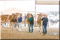 LCFAIR14-2818.jpg