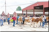 LCFAIR14-2820.jpg