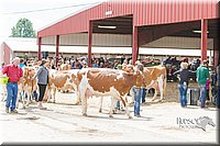 LCFAIR14-2821.jpg