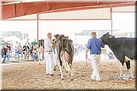 LCFAIR14-2822.jpg