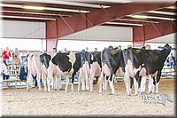 LCFAIR14-2823.jpg