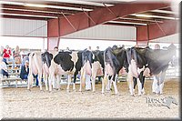 LCFAIR14-2825.jpg