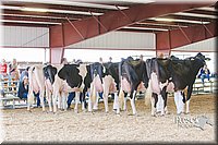 LCFAIR14-2826.jpg