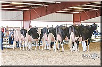 LCFAIR14-2827.jpg
