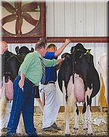 LCFAIR14-2834.jpg