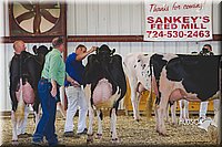 LCFAIR14-2838.jpg