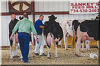 LCFAIR14-2842.jpg