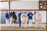 LCFAIR14-2849.jpg