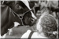 LCFAIR14-2853.jpg