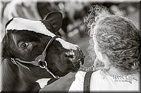 LCFAIR14-2858.jpg