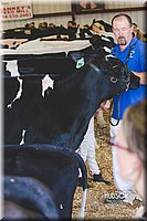 LCFAIR14-2878.jpg