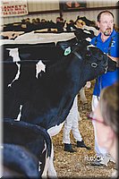 LCFAIR14-2880.jpg