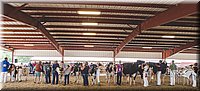 LCFAIR14-2887.jpg