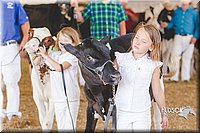 LCFAIR14-2903.jpg