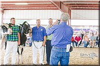LCFAIR14-2911.jpg