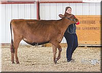 LCFAIR14-2916.jpg
