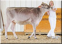 LCFAIR14-2917.jpg