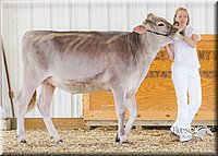 LCFAIR14-2918.jpg
