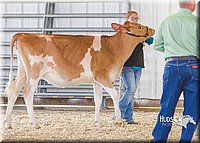 LCFAIR14-2919.jpg