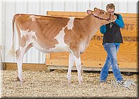 LCFAIR14-2920.jpg