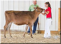LCFAIR14-2921.jpg