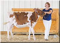 LCFAIR14-2924.jpg