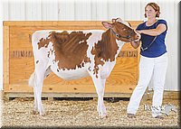 LCFAIR14-2925.jpg