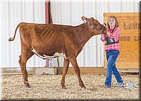 LCFAIR14-2926.jpg