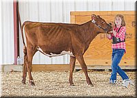 LCFAIR14-2927.jpg