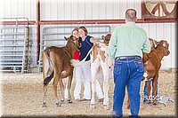 LCFAIR14-2928.jpg
