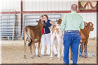 LCFAIR14-2929.jpg