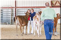 LCFAIR14-2933.jpg