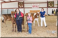 LCFAIR14-2934.jpg