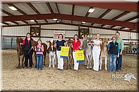 LCFAIR14-2937.jpg