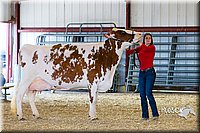 LCFAIR14-2939.jpg