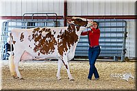 LCFAIR14-2940.jpg