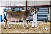 LCFAIR14-2941.jpg
