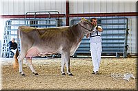 LCFAIR14-2942.jpg