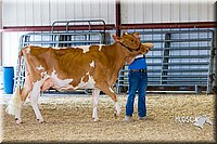 LCFAIR14-2944.jpg