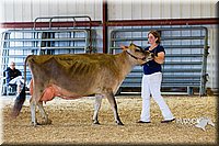 LCFAIR14-2945.jpg