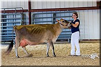 LCFAIR14-2946.jpg