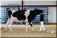 LCFAIR14-2948.jpg