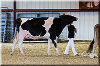 LCFAIR14-2949.jpg